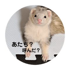 yuka_20250721143053