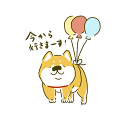 Japanese dog SHIBA-KOINU