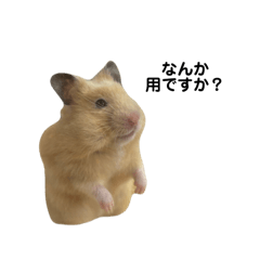 CHIHIRO_20250721133658