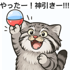 Tired but Cute  Pallas Cat