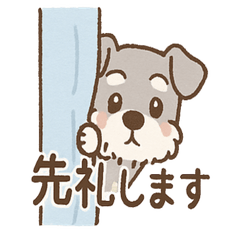 Kage-Shuna's collection of gentle