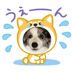 Kurumi_20250721152008