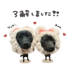 uchinoko_honpo._20250721133849