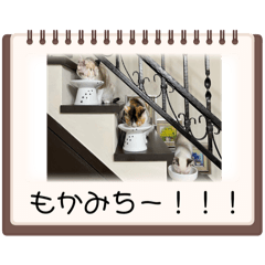 HONOKA_20250721155657