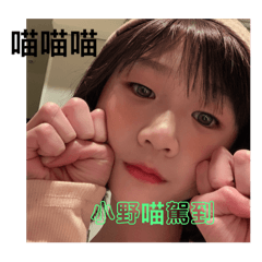 我家女孩 隱藏版（千萬不要錯過）