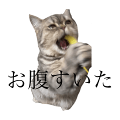 haganana