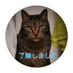 iku_20250721162628