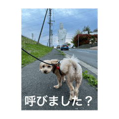 fuutarou_20250721162918