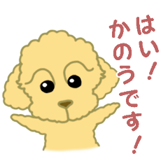 mugmug_20250721233347