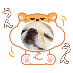 HIKARI_20250721230344