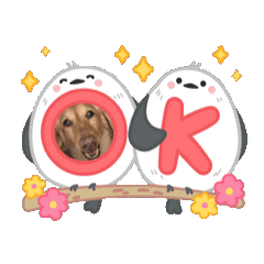 シニアブラザーず