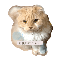 Aya_20250722003718
