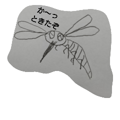 handwrite insect