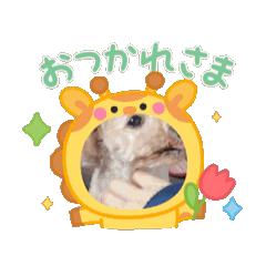 yuri_20250723092818