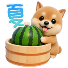 豆柴んず♡夏スタンプ