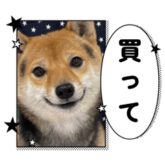 honoka_20250721224712