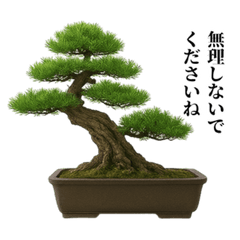 Realistic Bonsai Stickers - Zen Style 72