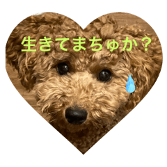 miruna_20250722100908