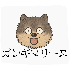 taizo's stamp - LINE スタンプ | LINE STORE