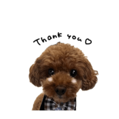 uchinoko_honpo._20250722095509