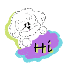 KAWAII Maltese dog