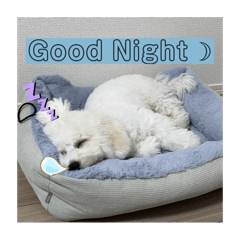 aichan_20250722124734