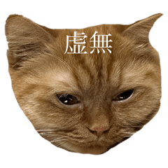 asahi_20250721202220