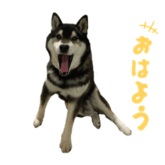 Haruka_20250721202622