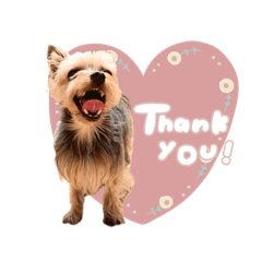 nonnoon_20250721215710