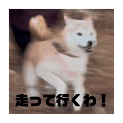 kansan_20250721215308