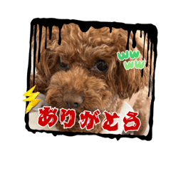 Nanakong_20250722085502