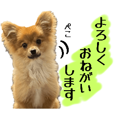 yuzuki_20250721182916