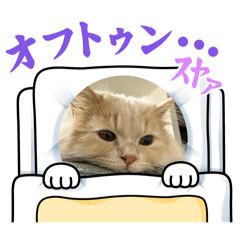 kinako_20250721185928