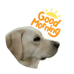 himawari_20250721211751