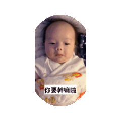 關崽動動