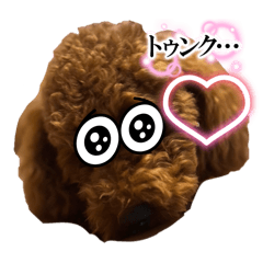 mocha mocha paradise