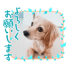 ma3nabe_20250721220723
