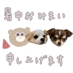 yuka_20250721221738