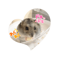 ako_20250721194534