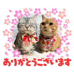 yuka_20250721201449