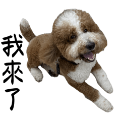 COOPERR2_0817