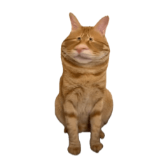 屁星人的多重宇宙