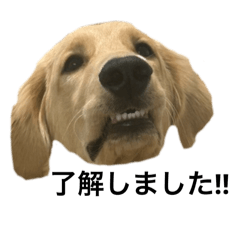 HARUKA_20250722181841