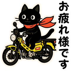 Cat rider's daily conversation