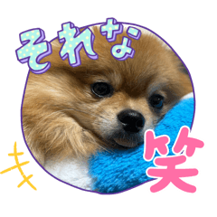 sone_