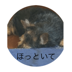 NAGISA_20250722113438