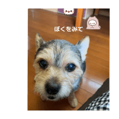 NAGISA_20250722114313