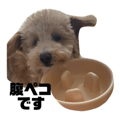 Himawari_20250722111628