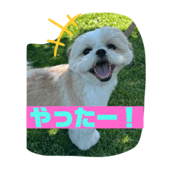 Honoka_20250722151401