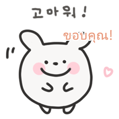 Korean x Thai Chill Bunny Daily